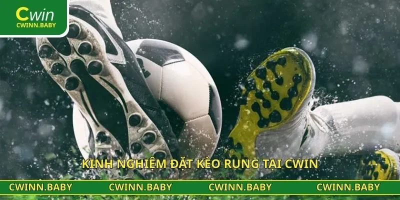 Kinh nghiệm đặt kèo rung tại CWIN