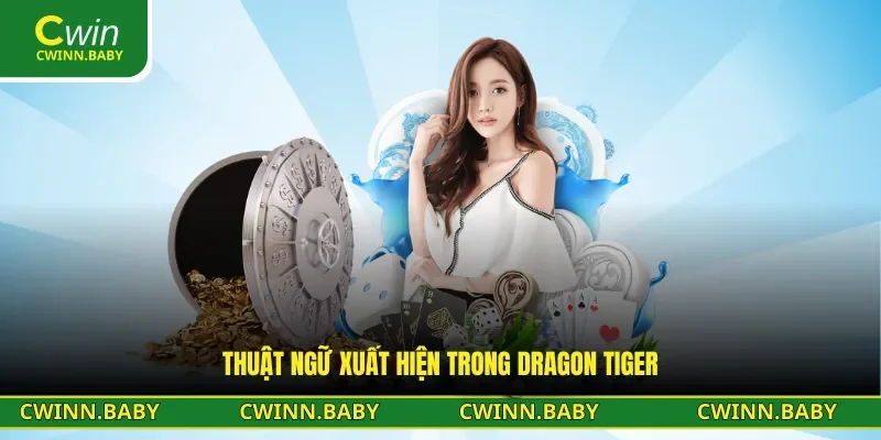 Nắm rõ thuật ngữ trong trò chơi Dragon Tiger